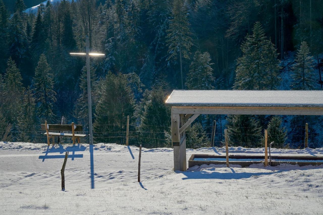 Unser Vorsaess - Geisskopf Schwarzenberg im Bregenzerwald Exteriör bild